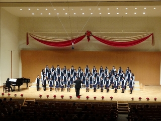 DSC08247.jpg
